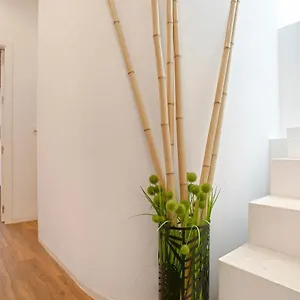 Apartamento Genteel Santa Teresa Sevilla